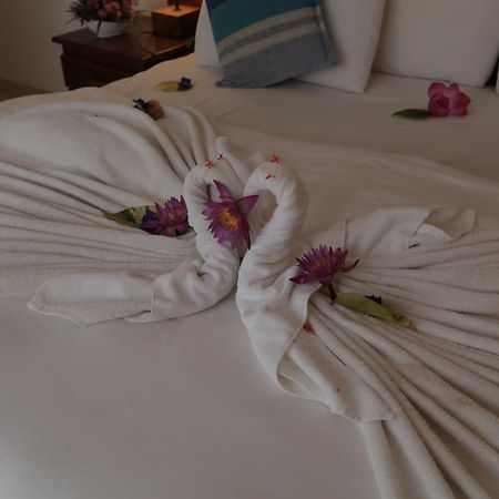 ברוואלה Sandul Villa מראה חיצוני תמונה